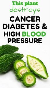 Among the cancer fighting foods and diabetes diet foods, Goya is the best. This plant destroys cancer, diabetes and high blood pressure