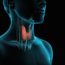thyroid