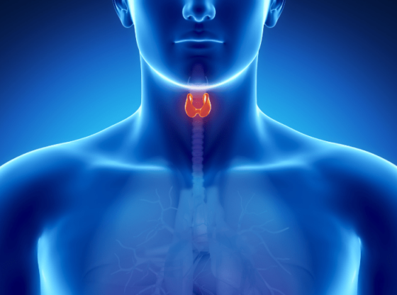 Thyroid diet healthy foods to help you eliminate thyroid problems. Thyroid symptoms if found early, can be easily avoided. No more thyroid disease.