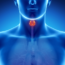 Thyroid diet healthy foods to help you eliminate thyroid problems. Thyroid symptoms if found early, can be easily avoided. No more thyroid disease.