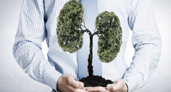 plants-for-lungs-health